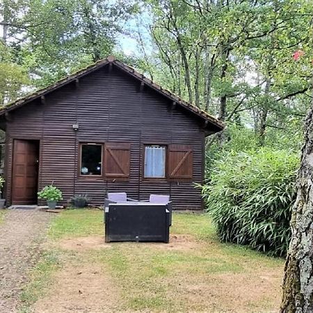 Weir Cottage Balledent Exterior photo